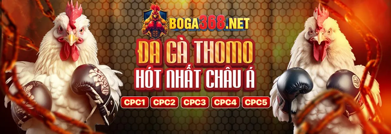 Đá gà trực tuyến kịch tính tại manclup login